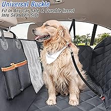 dog with seat belt bukled with car seat