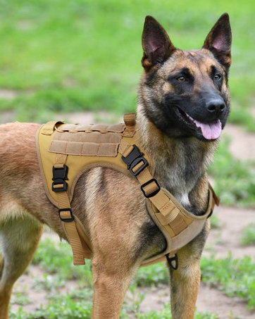 tactical dog harness