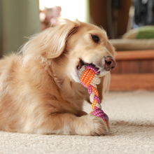 Dog Rope Toys