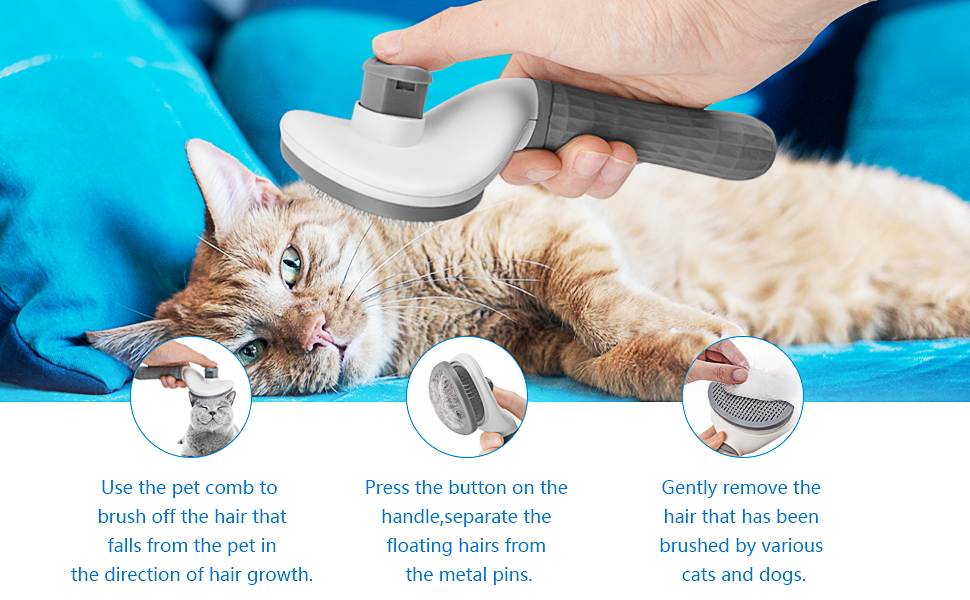 cat brush