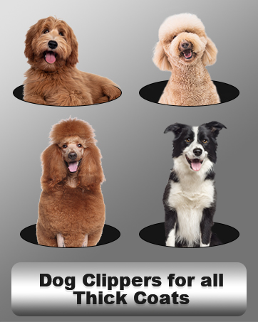 dog clippers