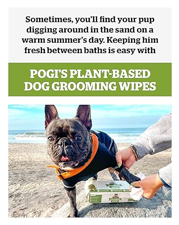 Pogi's Dog Grooming Wipes