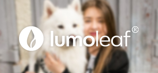 lumoleaf