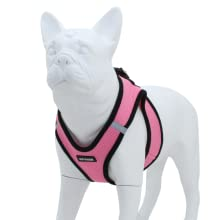 pet harness