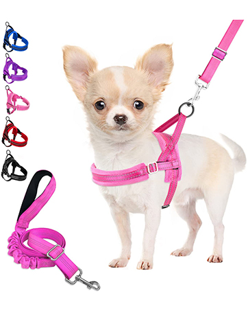 dog harness