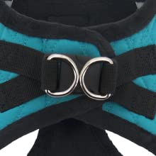 dog harness, puppy harness, harness, set up,