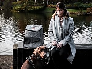 dog travel bag for holidays walking 