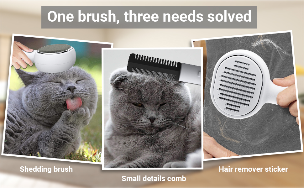 cat brush dog brush