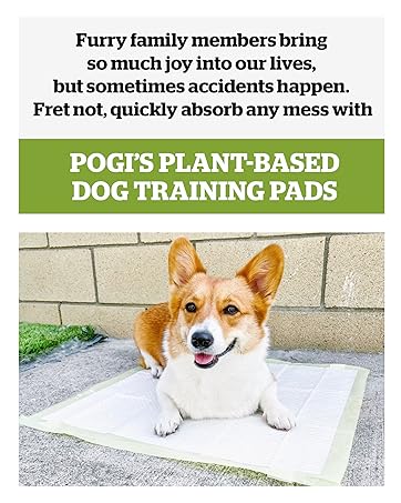 Pogi's Dog Training Pads