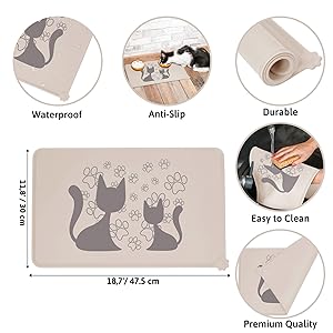 cat infographics latte