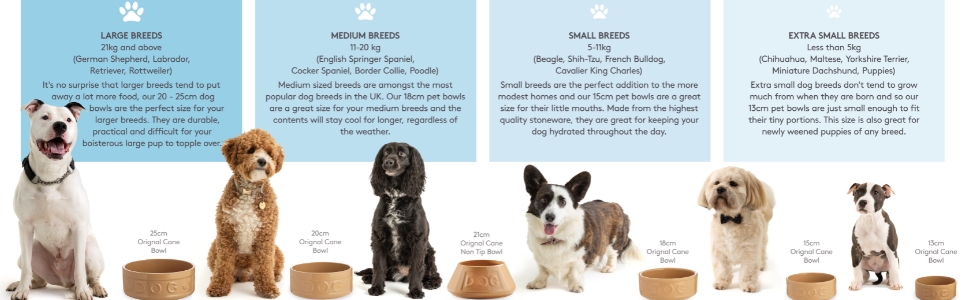 Infographics of pet bowls 