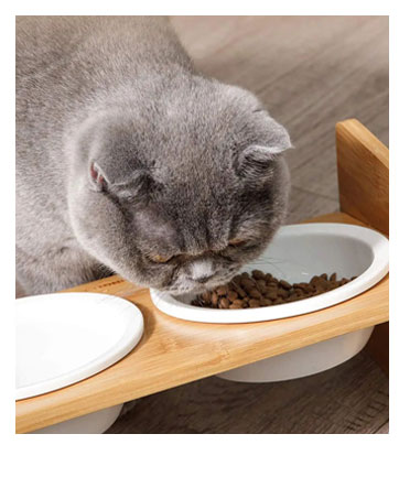 Raised Cat Bowls with Stand Tilted