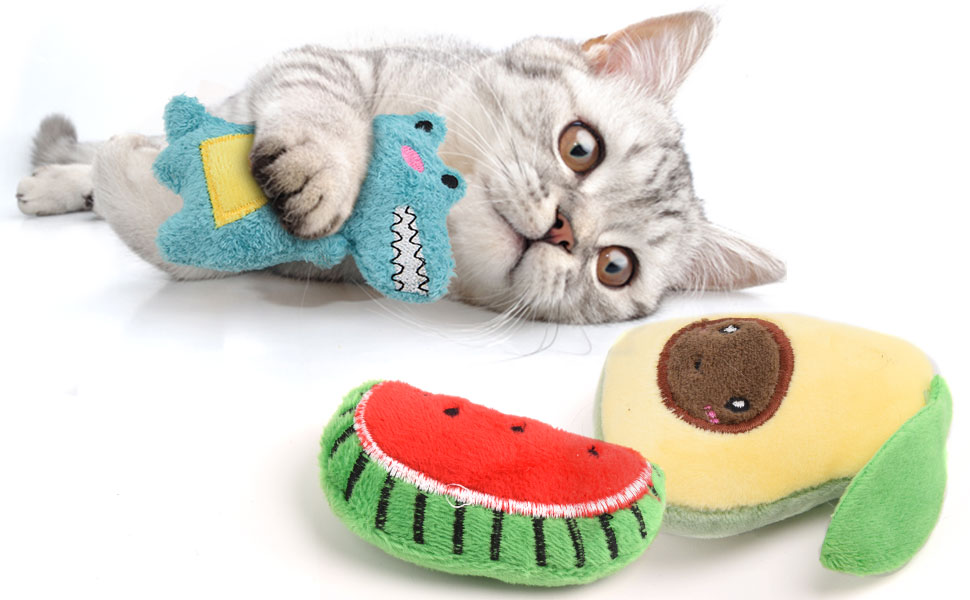 cat toys