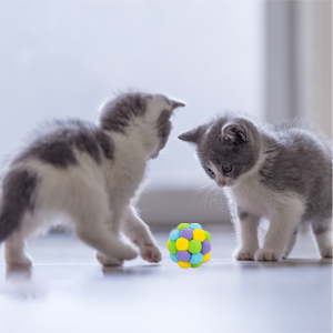 Cat Toy Ball