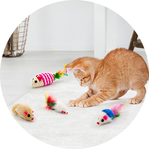 cat mouse toys