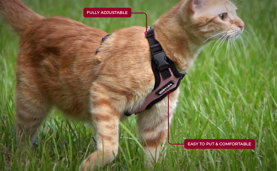 Voyager Cat Harness 217