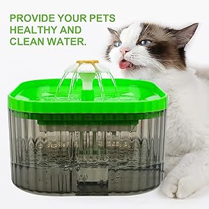 cat water dispenser