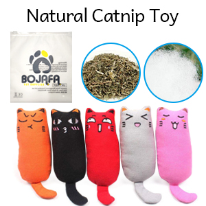 catnip toys playset for your cats