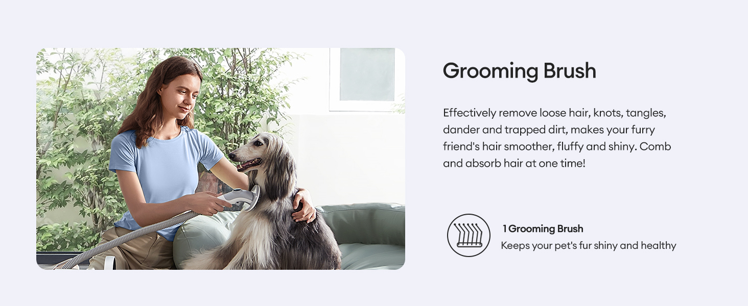 Pet Grooming