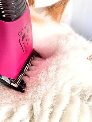 Pink Showmate on Cat fur