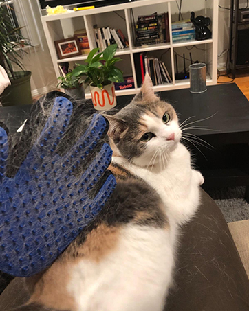 Pet Grooming Gloves