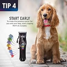 WAHL Colour Pro Rechargeable Pet Clipper