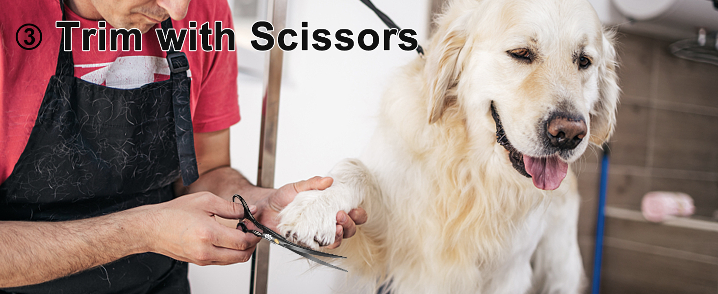 Dog Grooming Scissors