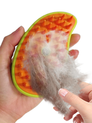 Cat Steam Brush