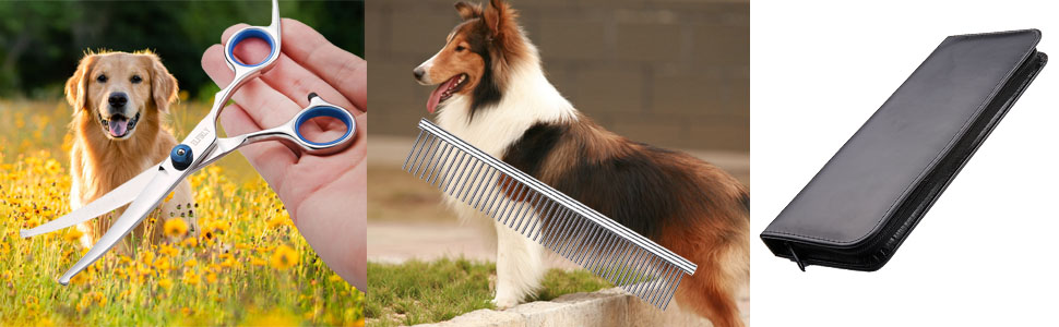 Dog shears for grooming