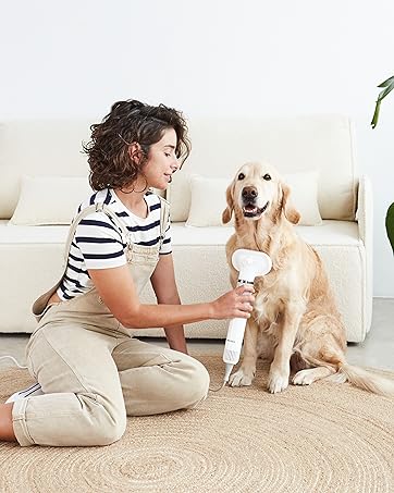 Pet Hair Dryer Dog Hair Dryer Pet Grooming