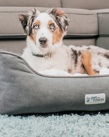 Pet Fusion; dog bed; bed for dogs; memory foam