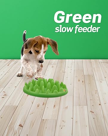 Green Interactive Feeder