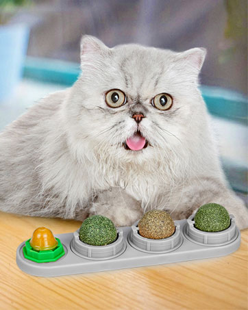 catnip ball