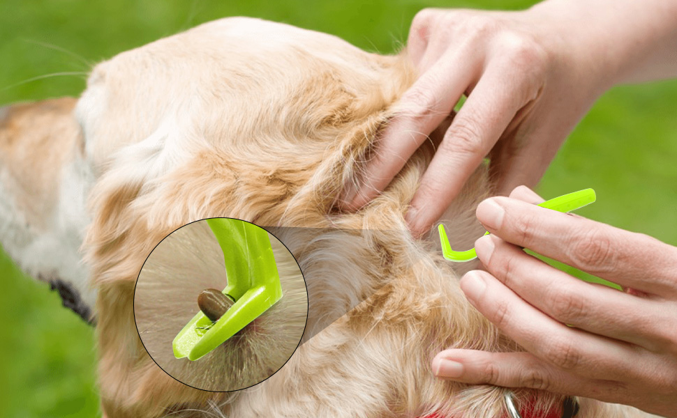 pets grooming kits