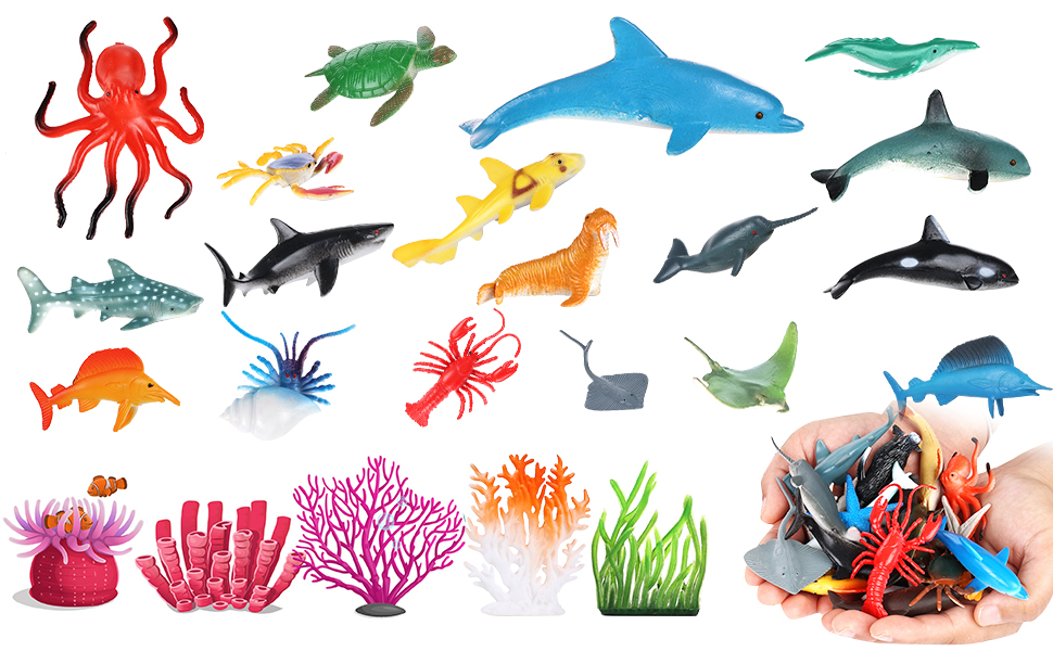 Sea Animals