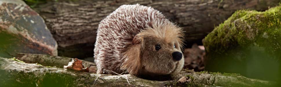 hedgehog, soft toy, cuddly toy, hedgehog toy