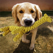 dog chew toy