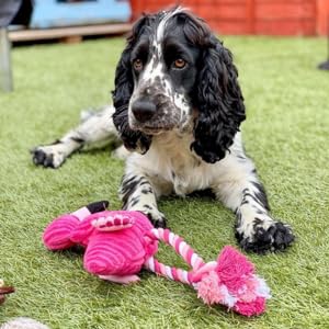 plush dog toy flamingo