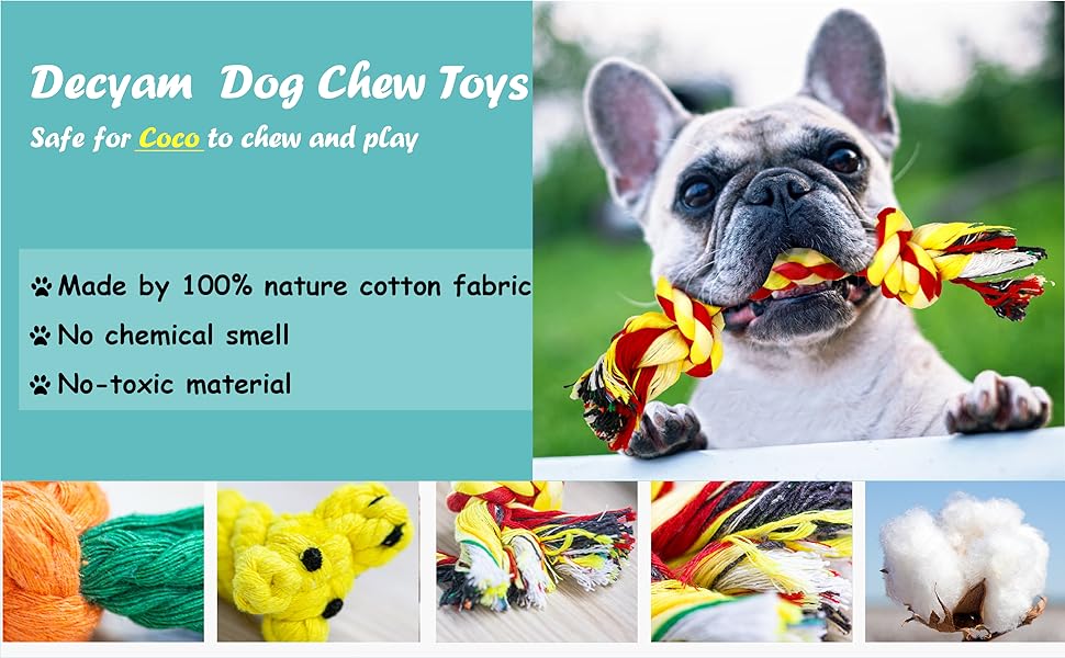 Interactive dog toy