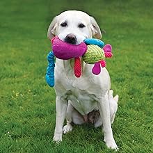 Dog holding cow toy