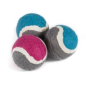 991082 mini tennis balls