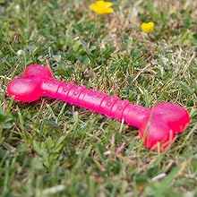 Biosafe Pink Puppy Bone