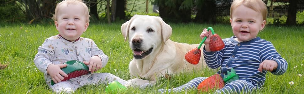 Biosafe Dog Toys