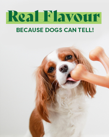 Benebone real flavour dog chews