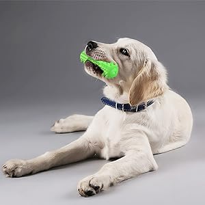 Interactive dog toys