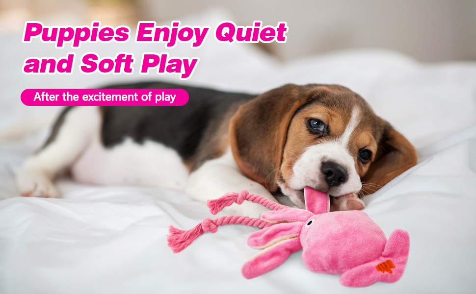 dog toys for small dogs