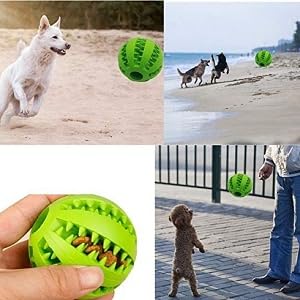 Dog Toy Ball