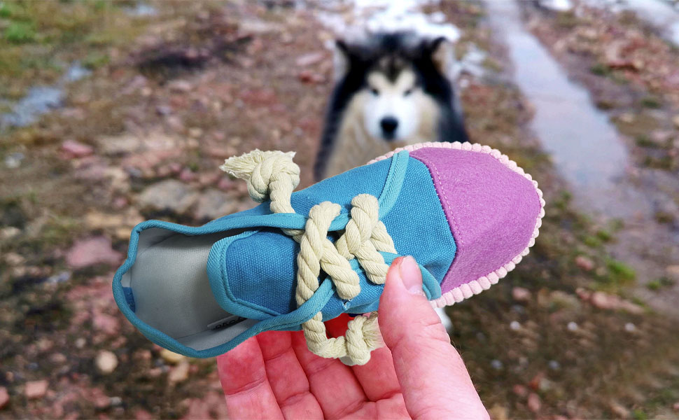 dog chew toy shoes shoe toys for dogs squeaky mini sneakers puppy shoelace teething