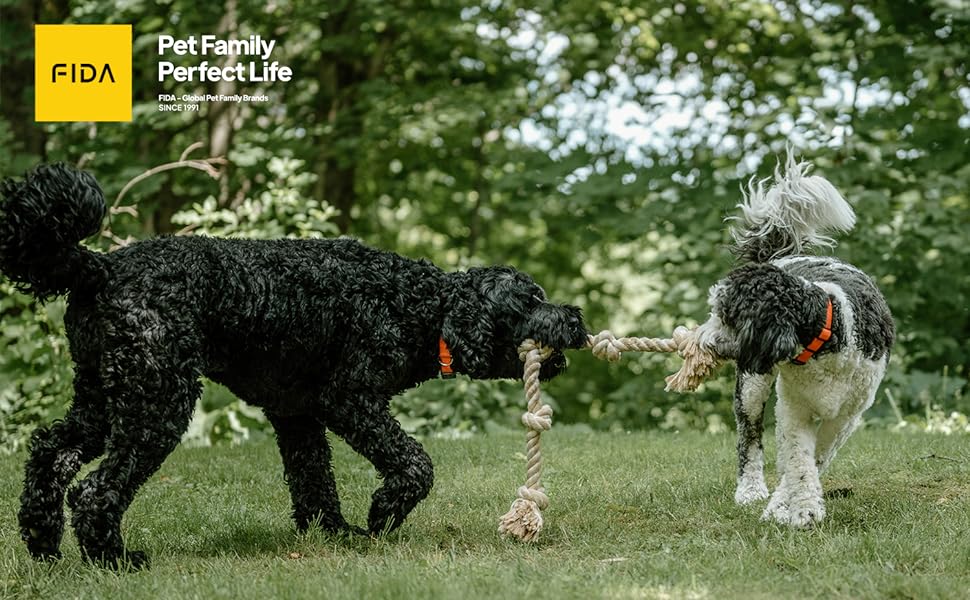 dog toy indestructable