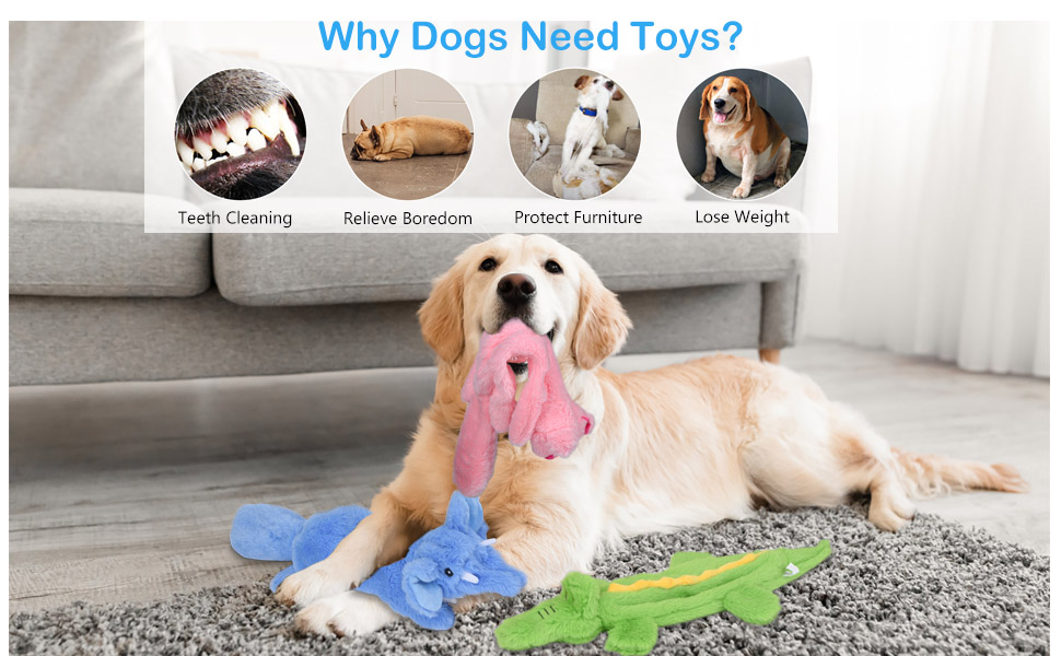 dog toys